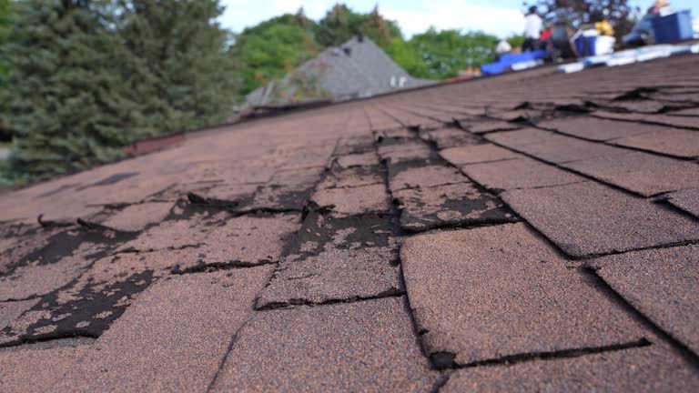Harpersville, AL Roofing Service Company